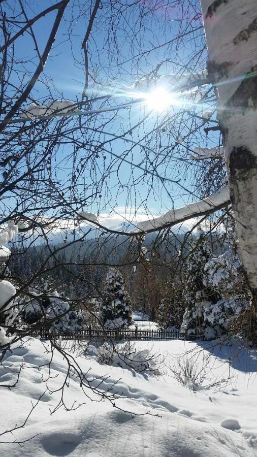 Jasmin Apartment Bukowina Tatrzanska Bagian luar foto